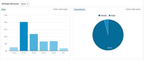 Screenshot Google Analytics, zeigt demografische Merkmale der Pinterst-Nutzer